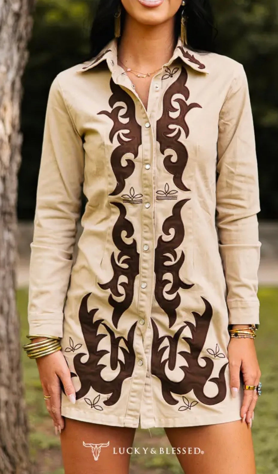 Desert Flame Shirt Dress