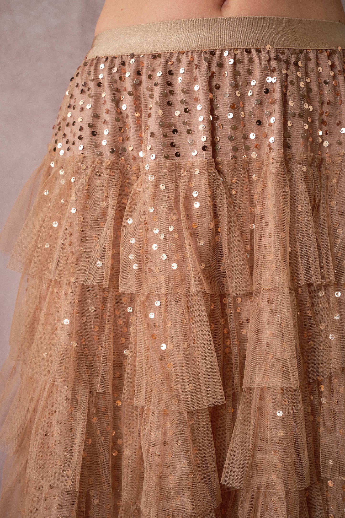 Sequin Tiered Mesh Maxi Skirt